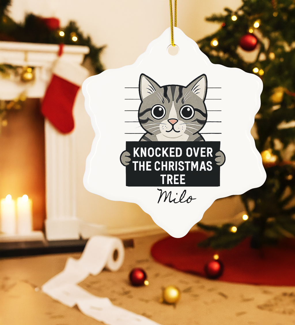 Cat Mugshot Personalized Ornament, Funny Cat Christmas Tree Decoration, Custom Pet Name Gift, Naughty Cat Holiday Ornament
