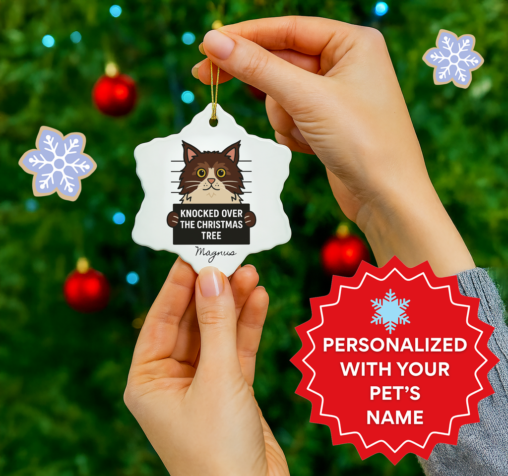 Cat Mugshot Personalized Ornament, Funny Cat Christmas Tree Decoration, Custom Pet Name Gift, Naughty Cat Holiday Ornament