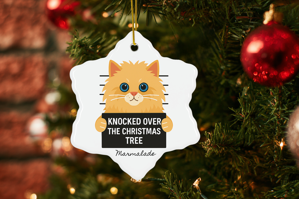 Cat Mugshot Personalized Ornament, Funny Cat Christmas Tree Decoration, Custom Pet Name Gift, Naughty Cat Holiday Ornament